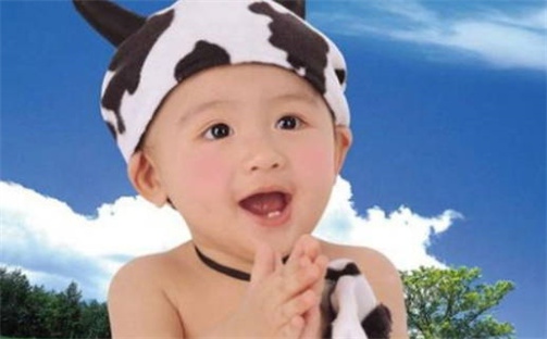 顾姓清新自然的男孩名字