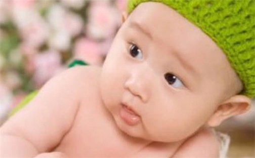 张姓男孩子取名