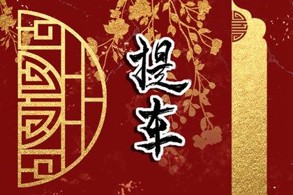 2026年11月17日提车黄历查询